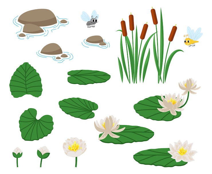 Vector cute, croaking, in love,laughing, frightened, hungry. water and swamp plants with waterlily and reed