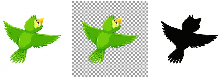 Vector cute green bird cartoon character
