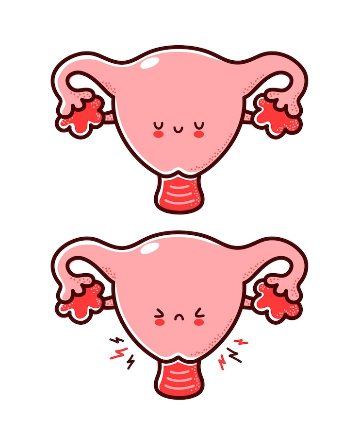 Vector cute healthy and sick sad funny human uterus organ character