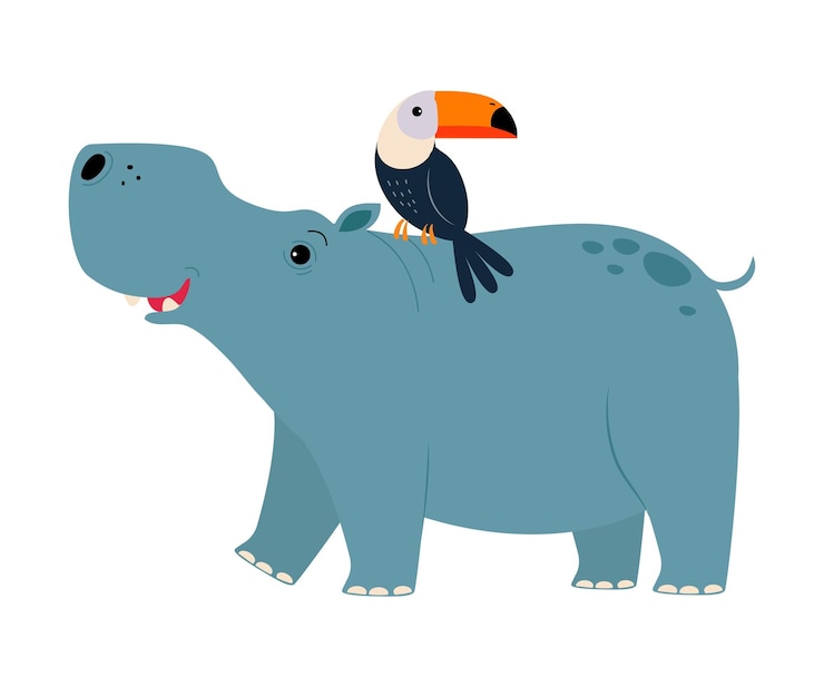 Vector cute hippopotamus and toucan animals exotic tropical fauna african savanna inhabitant cartoon vector illustration