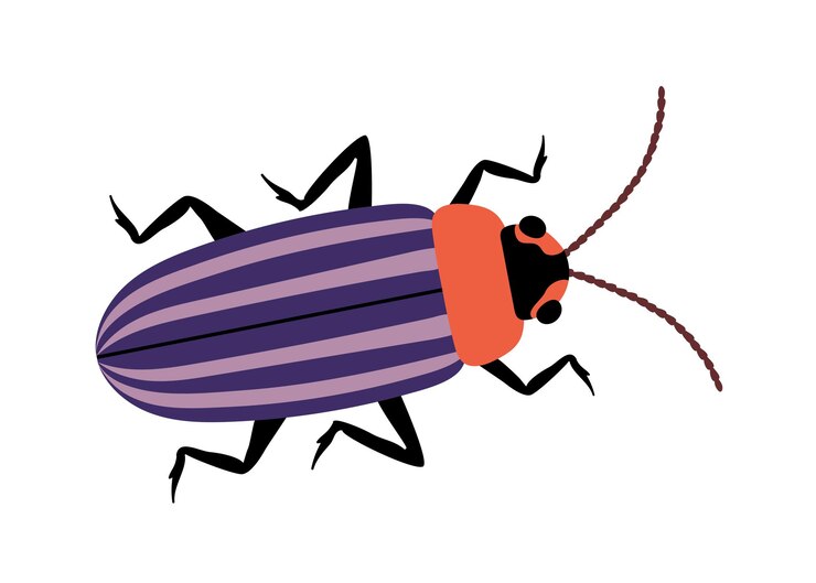 Vector cute insect concept violet bug or beetle fauna and wild life zoology and biology spring and summer