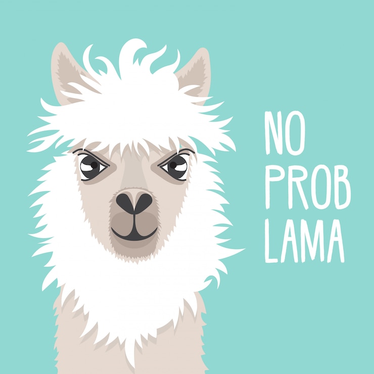 Vector cute lama on a mint background. llama face. text no prob lama. good for greeting cards.
