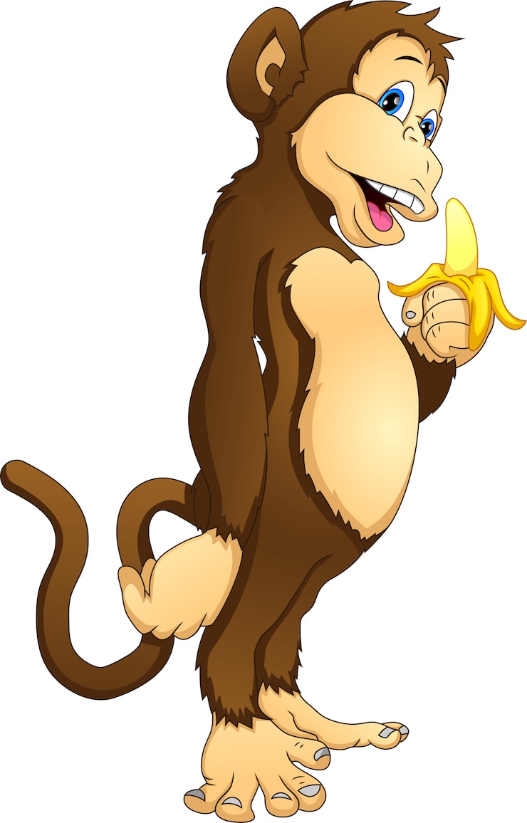 Vector cute monkey holding banana