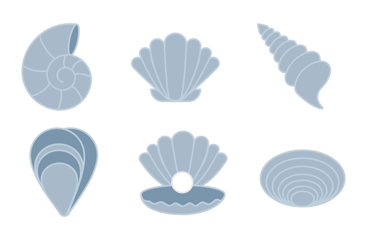 Cute seashell starfish clam Sea shell set Hand drawn vector illustration isolated on white