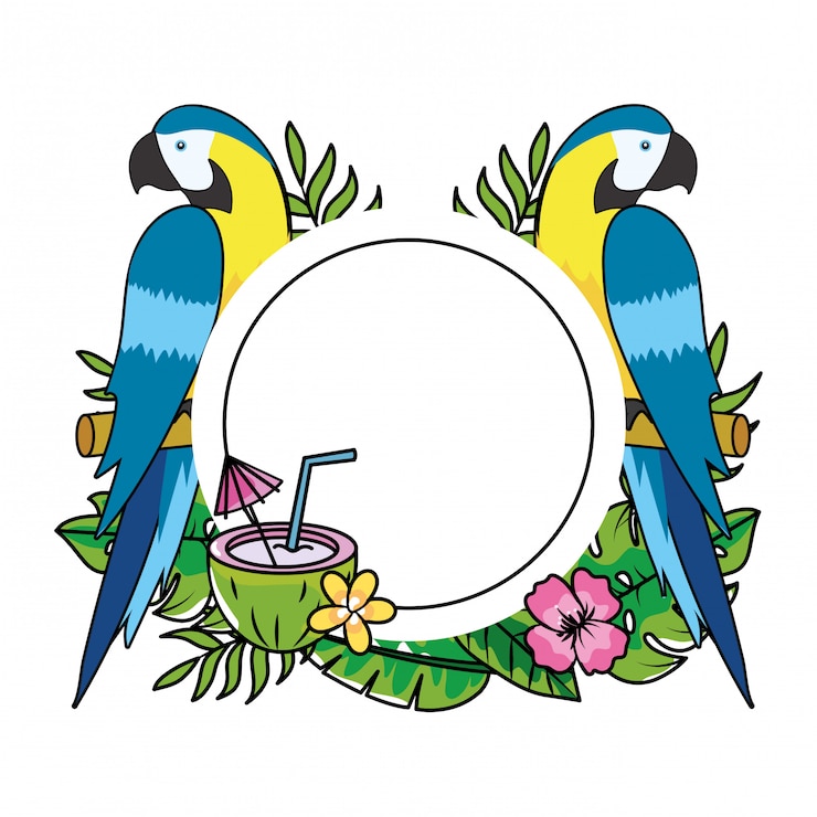 Vector cute tropical parrots cartoon