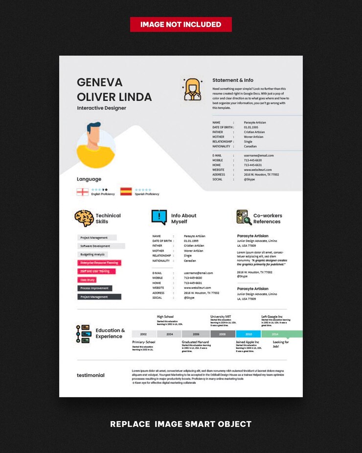 Vector cv template