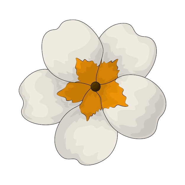 daffodil
