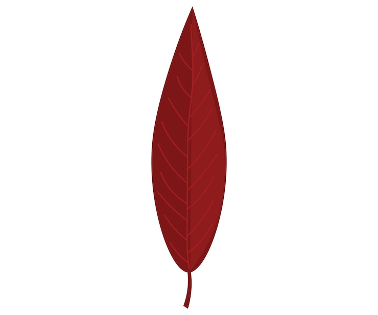 Vector daun musim gugur