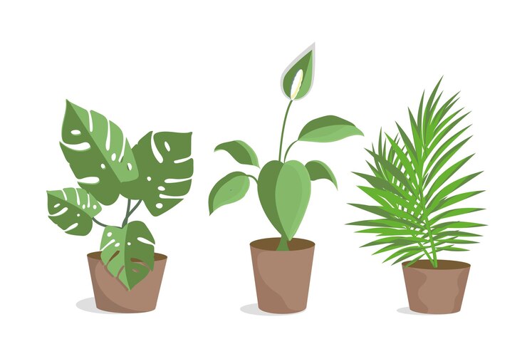 Vector decorative potted indoor flowers. an interior item.