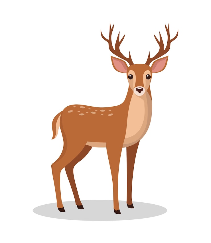 Vector deer vector illustration cute animal vector illustration deer illustration vector cute carton