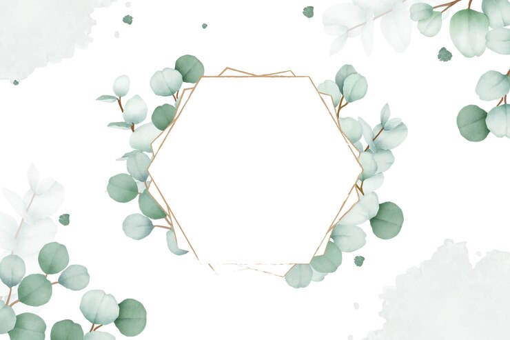 Vector desain latar belakang daun eucalyptus elegan