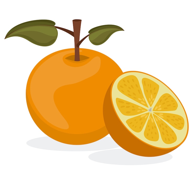 Vector desain makanan sehat