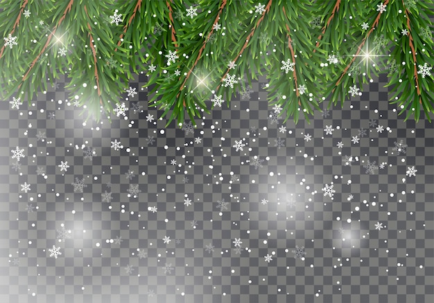detailed christmas fir tree branches with falling snow as a christmas decoration
