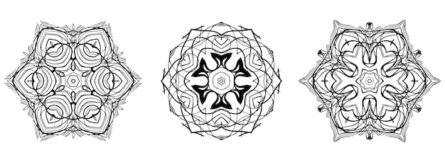 Detailed Symmetrical Pattern with Elegant Organic Curves