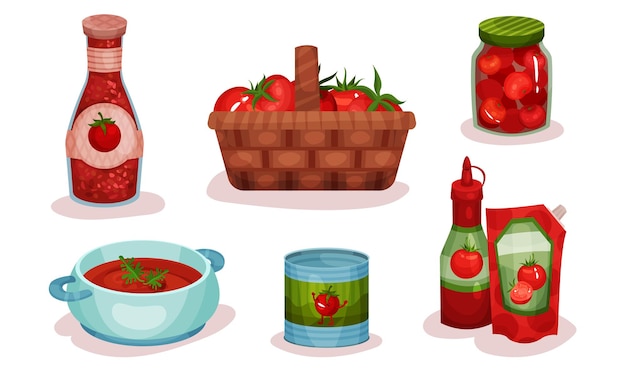 Different Food Items Made of Tomato Ingredient Vector Illustrated Set Fresh Tomato Goods Collection