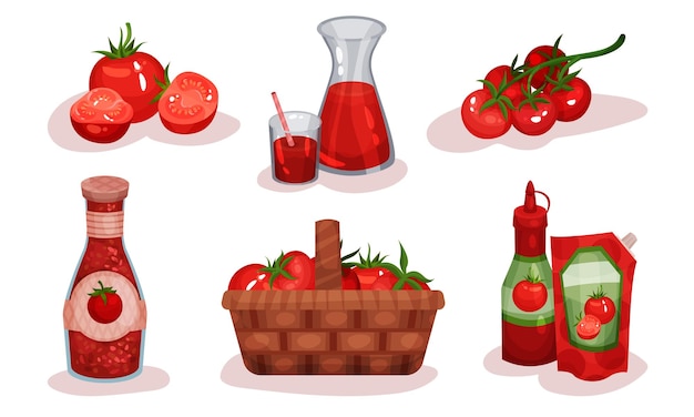 Different Food Items Made of Tomato Ingredient Vector Illustrated Set Fresh Tomato Goods Collection