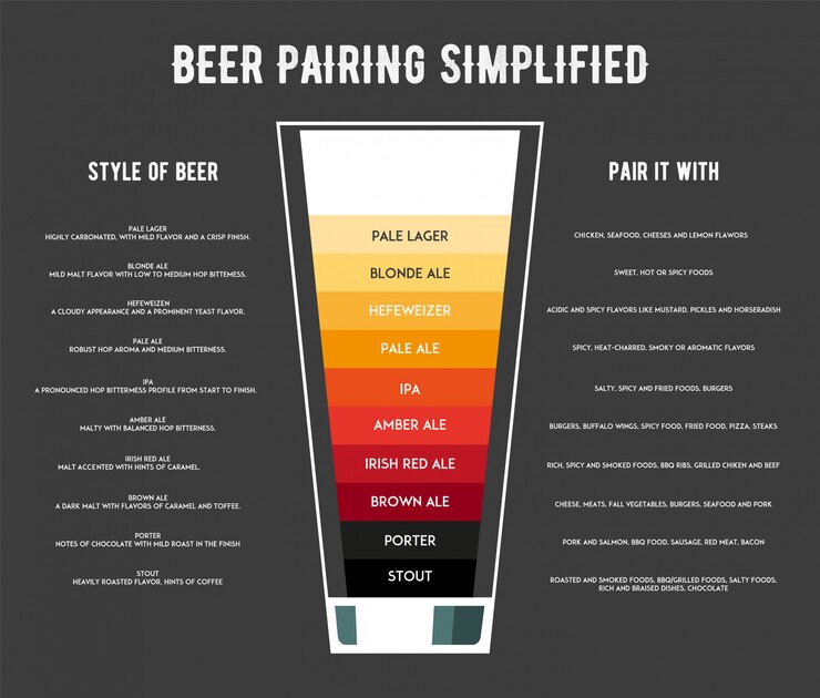 Vector different types of beer infographic
