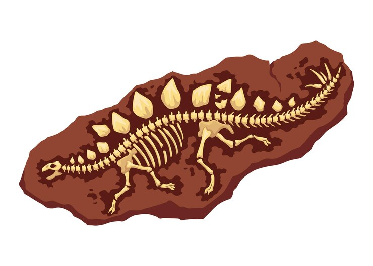 Vector dinosaur fossil skeleton bones excavations of archeology isolated prehistoric reptile skeletons lying underground cartoon paleontological artifact