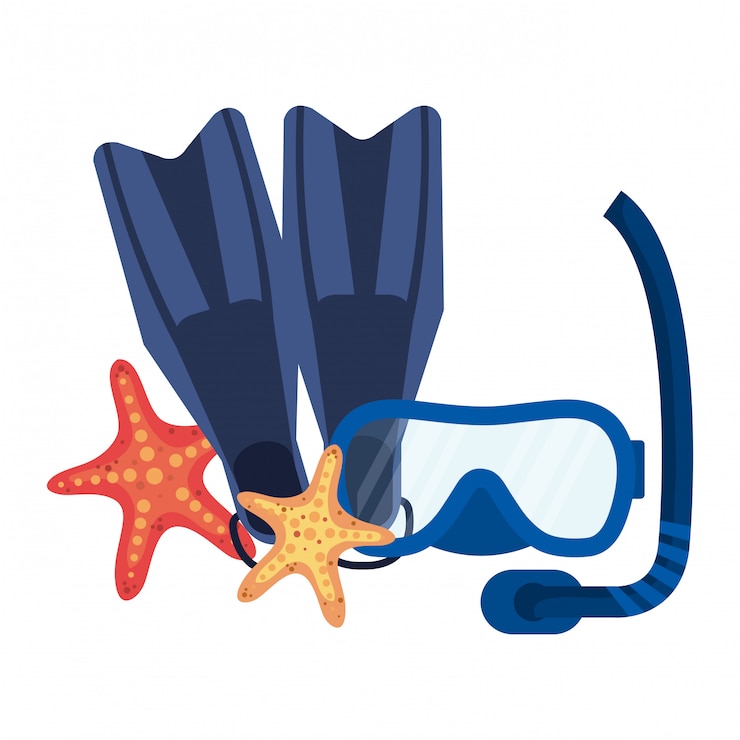 Vector diving snorkel mask and fins with starfish