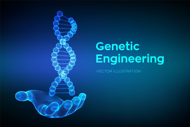 DNA sequence in hand. Wireframe DNA molecules structure mesh.