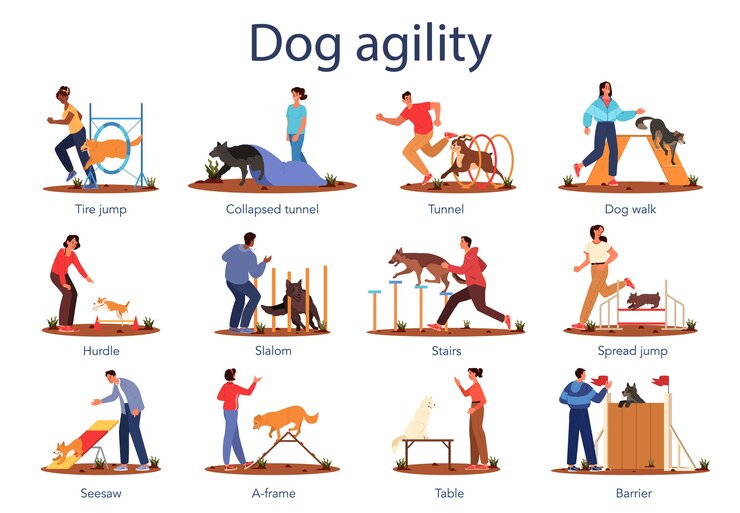 Vector dog agility set. training exercise for pet. woman and man training