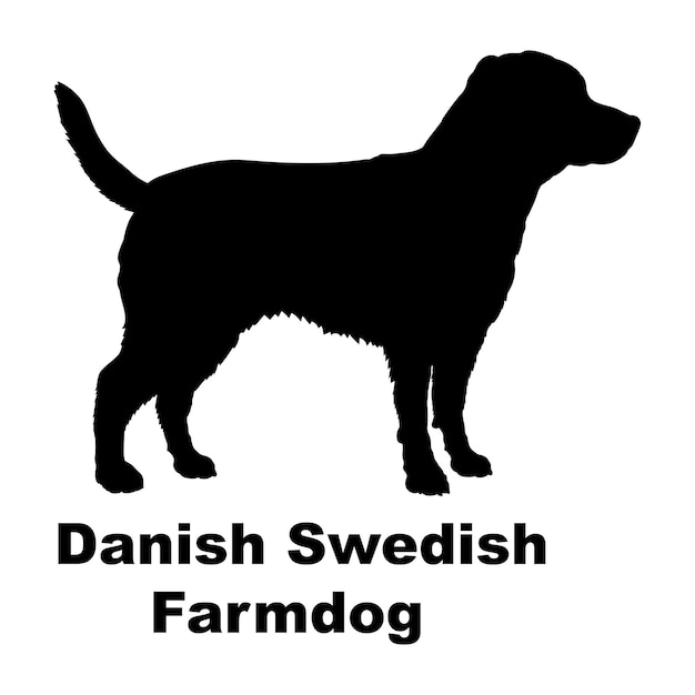 Dog silhouette Danish Swedish dog breeds logo monogram vector