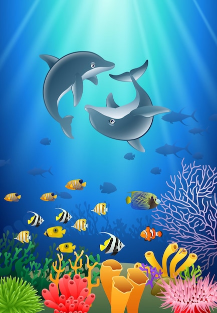 Dolphin cartoon with underwater view and coral background Vector Illustration
