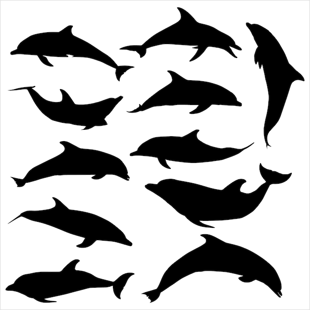 dolphin silhouette set vector illustration collection of dolphin silhouette