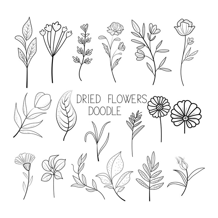 Doodle floral line art Vector Pack floral line Clipart floral hand drawing illustration