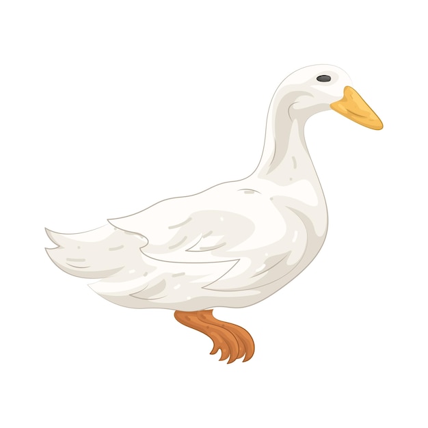 duck illustration
