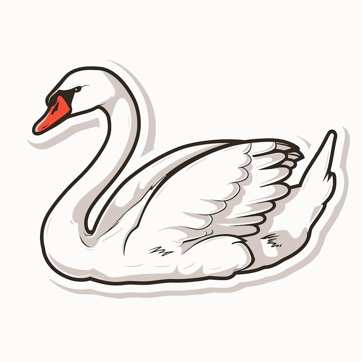 Vector duck vector