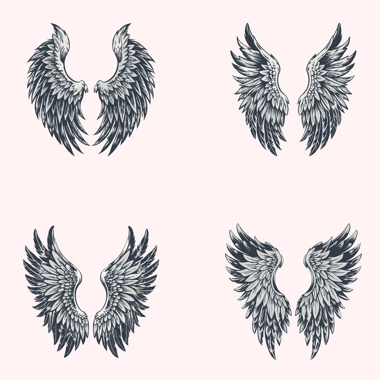 Vector eagle bird or angel wings vector illustration