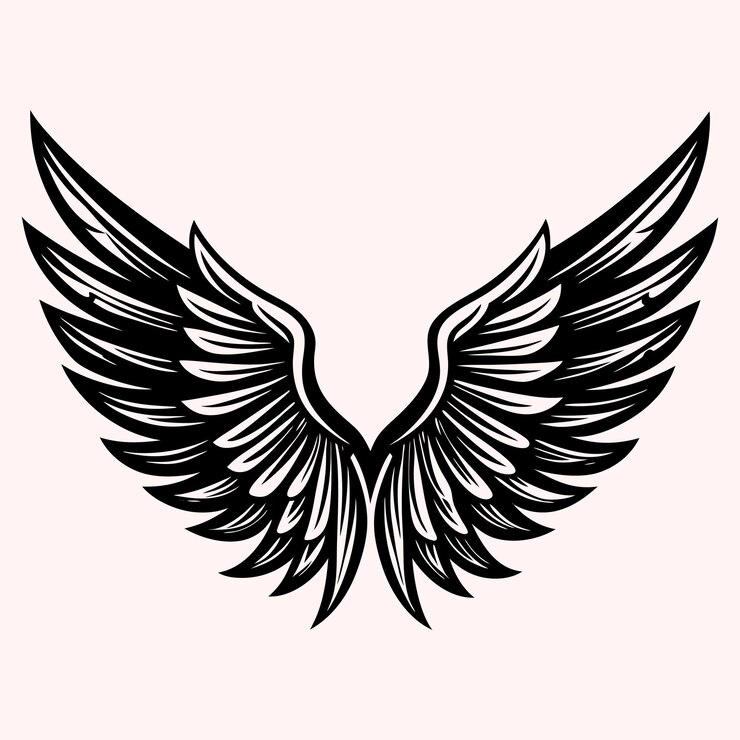 Vector eagle bird or angel wings vector illustration