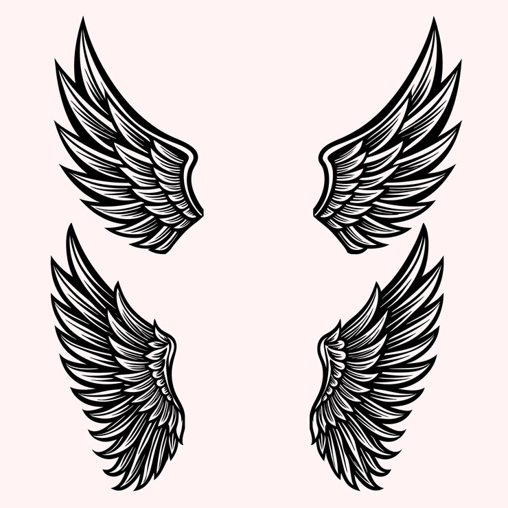 Vector eagle bird or angel wings vector illustration