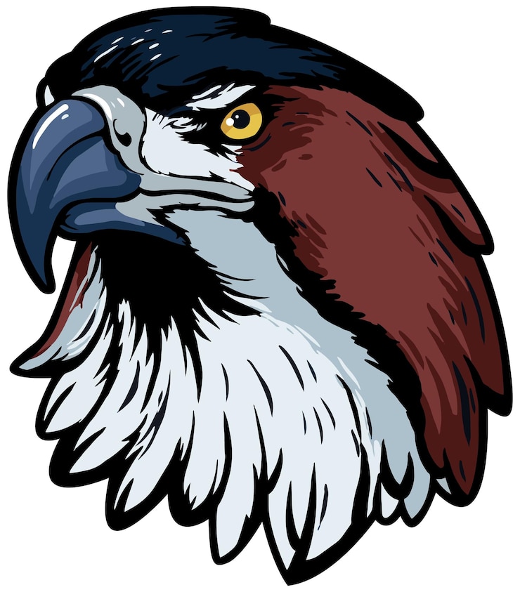 Vector eagle face illustration vector sky