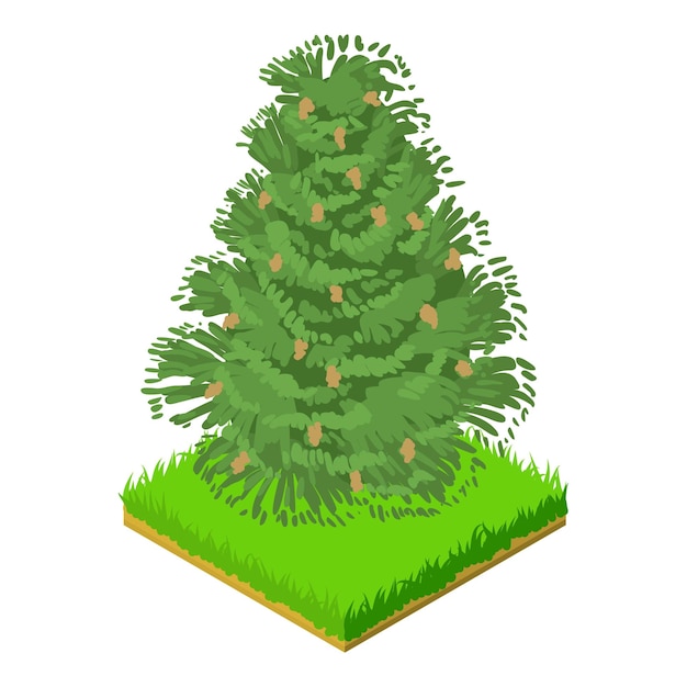 Eastern hemlock icon Isometric illustration of eastern hemlock vector icon for web