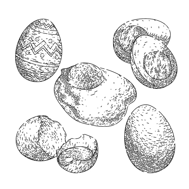 Egg food chicken set sketch hand drawn vector