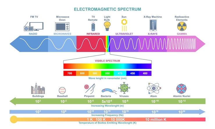 Vector electromagnetic spectrum infographic physics educational poster diagram of wave structure wave