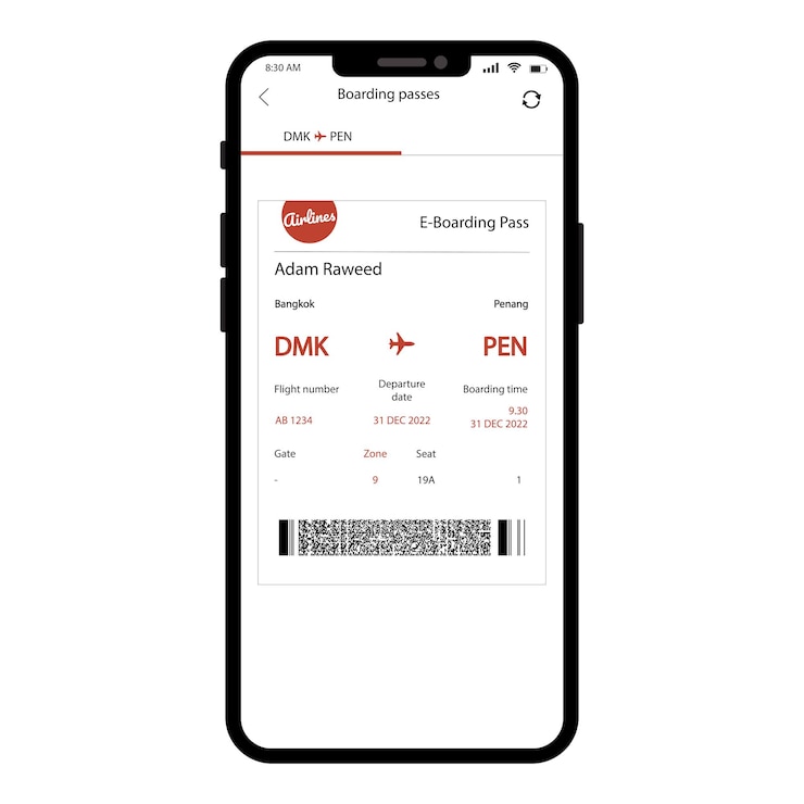 Vector electronic boarding pass on phone