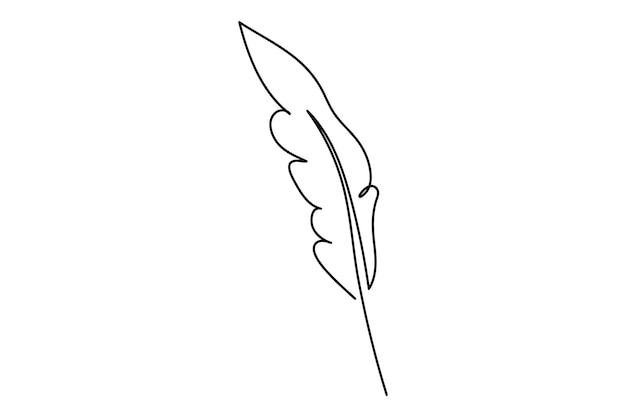Elegant minimalist one line feather drawing in black and white for modern decor
