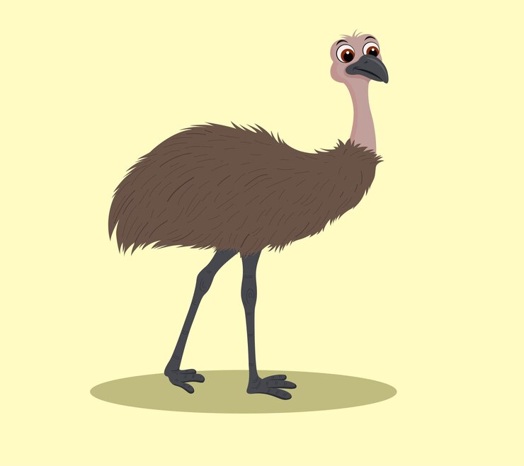 Vector emu walking cartoon illustration design