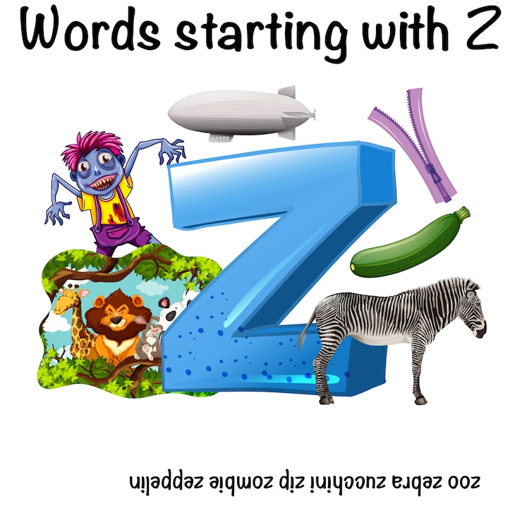 Vector english words starting with z