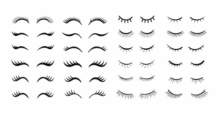 Vector eyelashes collection for makeup and beauty