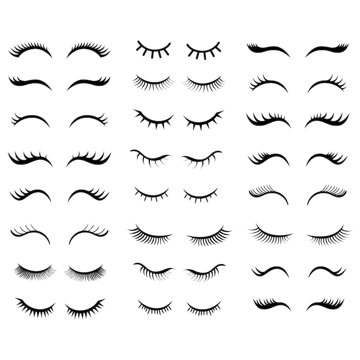 Vector eyelashes for girls simple hand drawn girls eyelashes set vector
