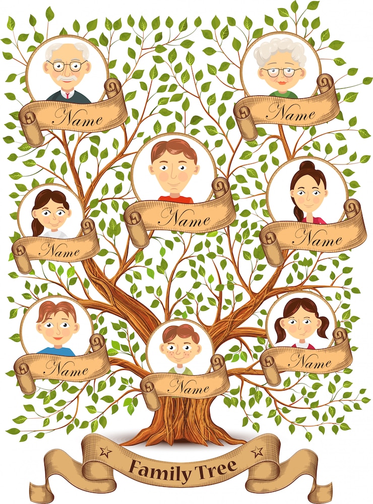 Vector family tree template vintage illustration