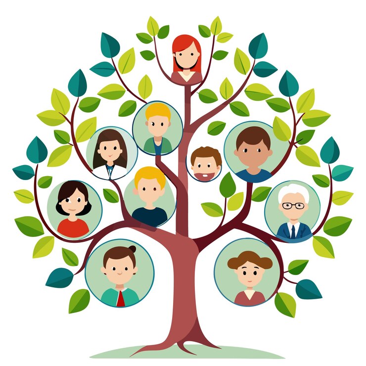 Vector family tree vector with white background