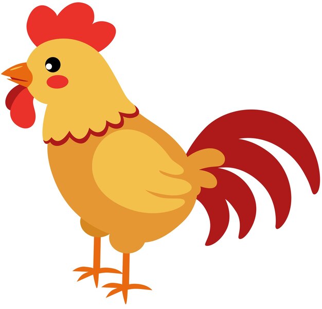 farm rooster isolated on whitecdr