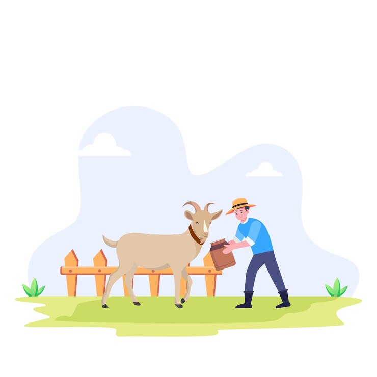 Vector farmer feeding farm animals flat cartoon vector illustration