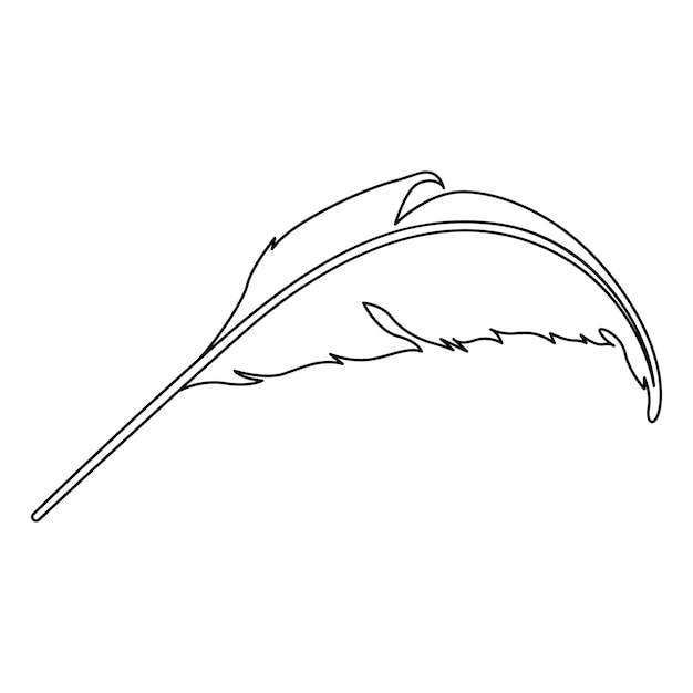 feathers isolated on a white background Vector illustration in outline style Use for cards logo