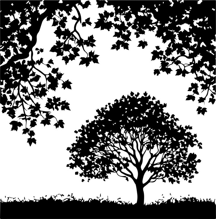 Vector field maple tree vector black color silhouette isolated white background